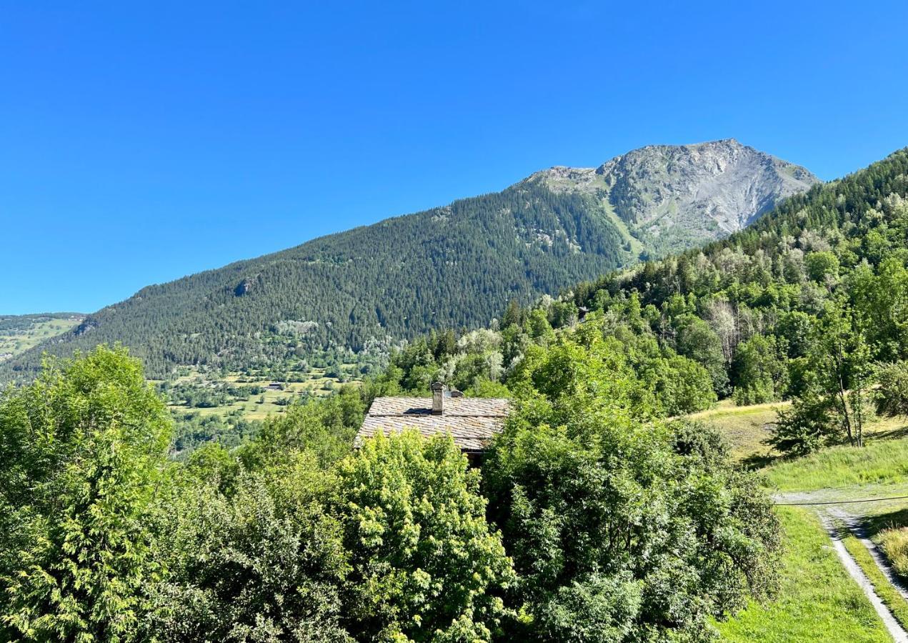 Chalet Altus Sainte-Foy-Tarentaise Dış mekan fotoğraf