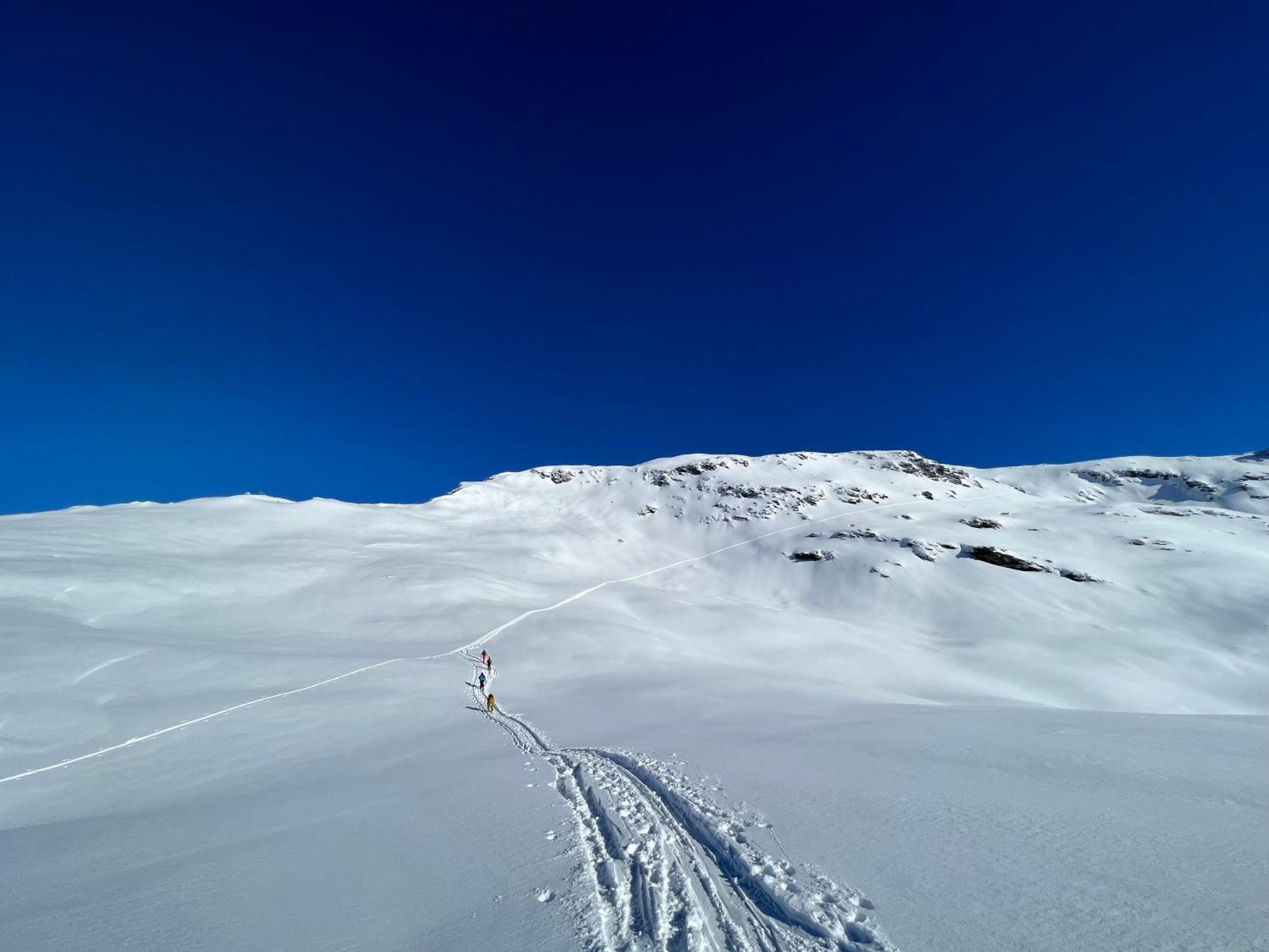 Chalet Altus Sainte-Foy-Tarentaise Dış mekan fotoğraf