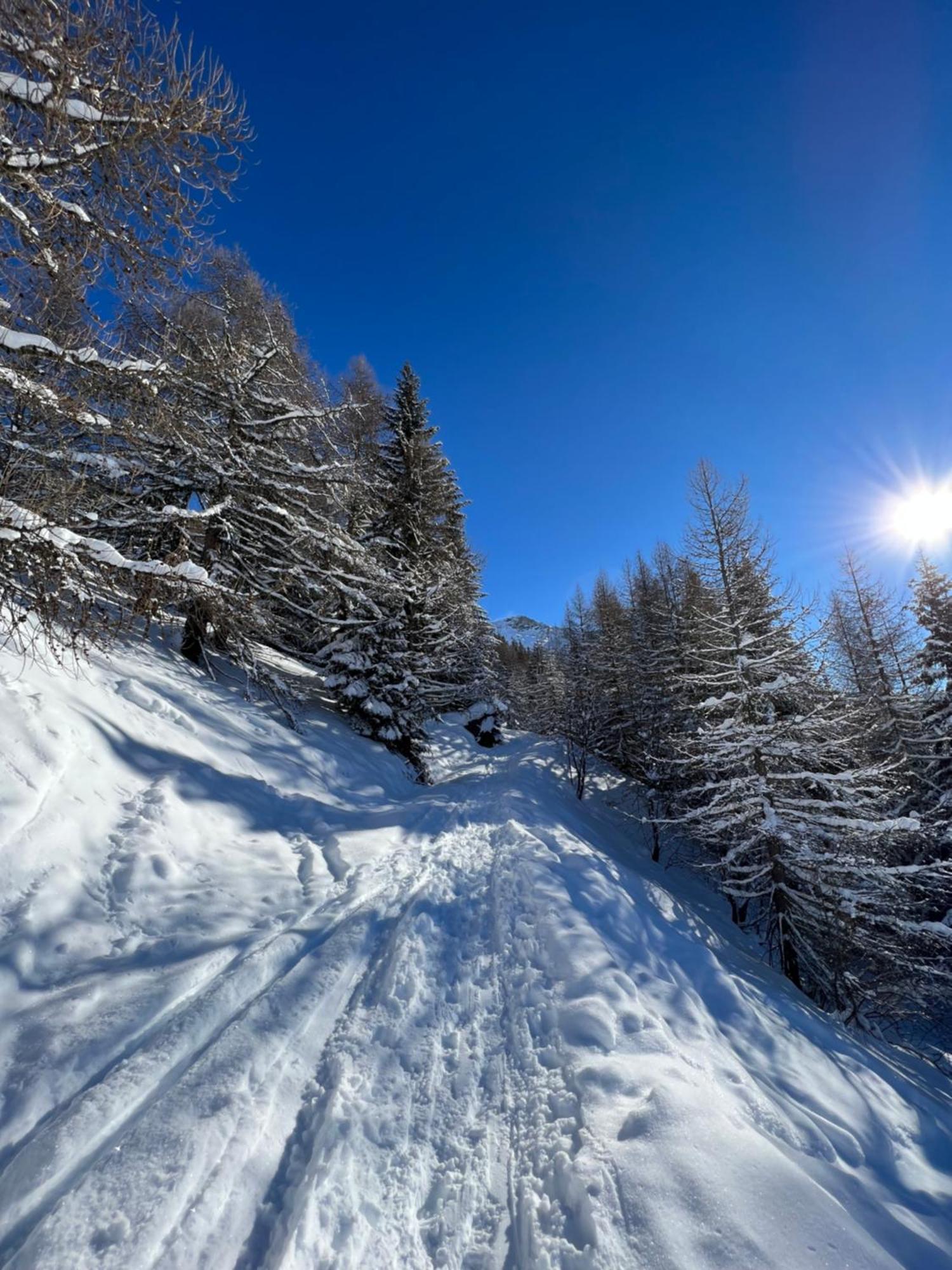 Chalet Altus Sainte-Foy-Tarentaise Dış mekan fotoğraf