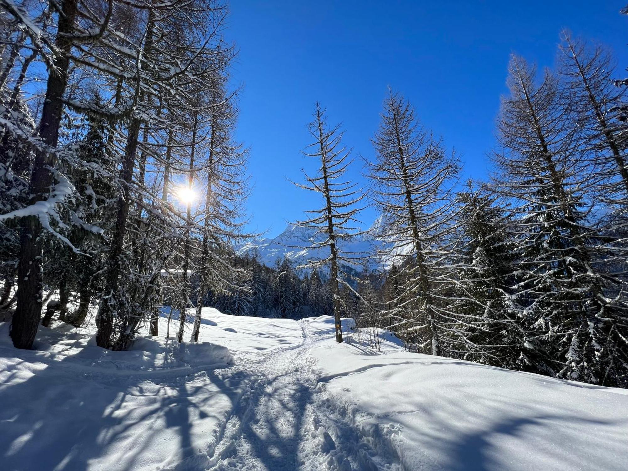 Chalet Altus Sainte-Foy-Tarentaise Dış mekan fotoğraf